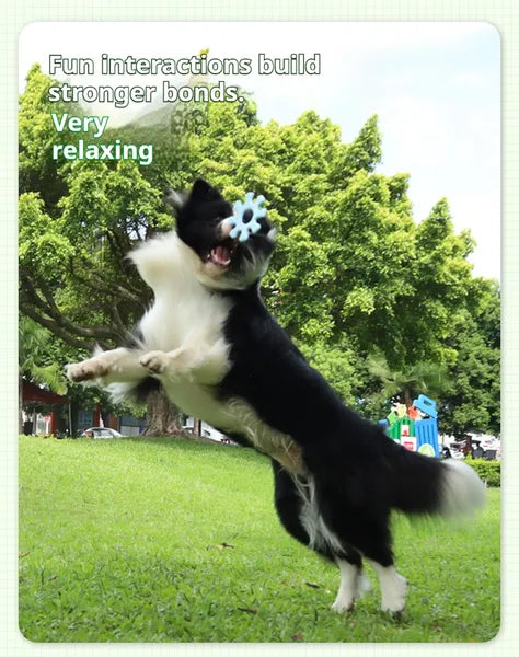 Interactive Flywheel Frisbee Mucy Stores