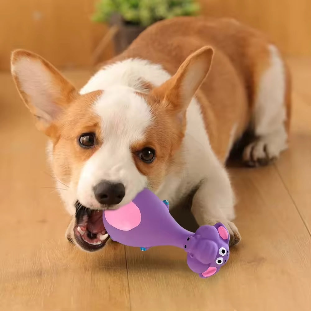 4pcs Latex Chew Toy Mucy Stores