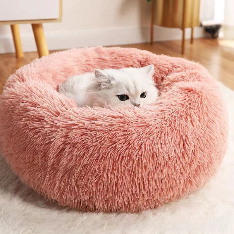 Furry plush bed.