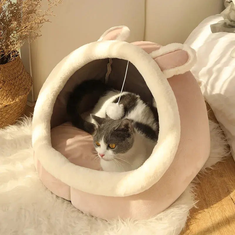 Cartoon Pet Bed.