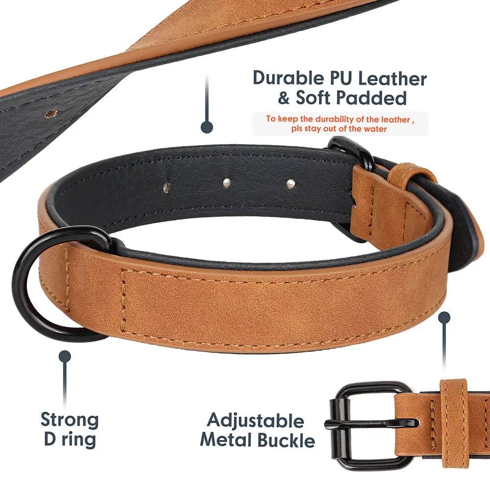Leather Pet Collar.