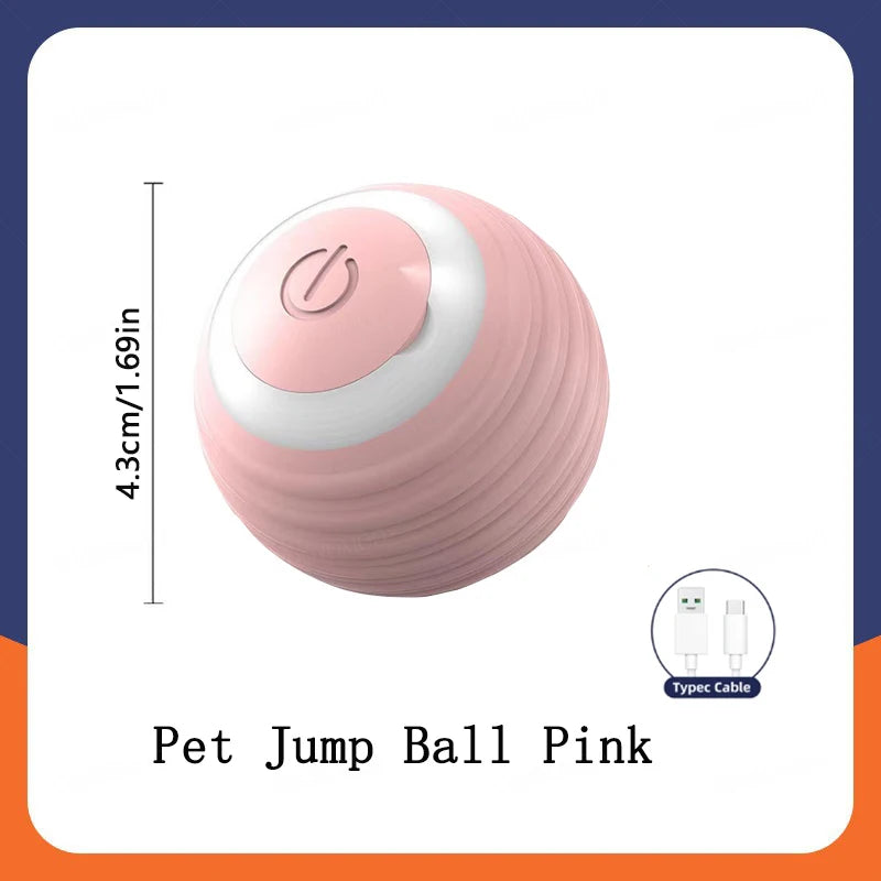 Pet Toy Ball.
