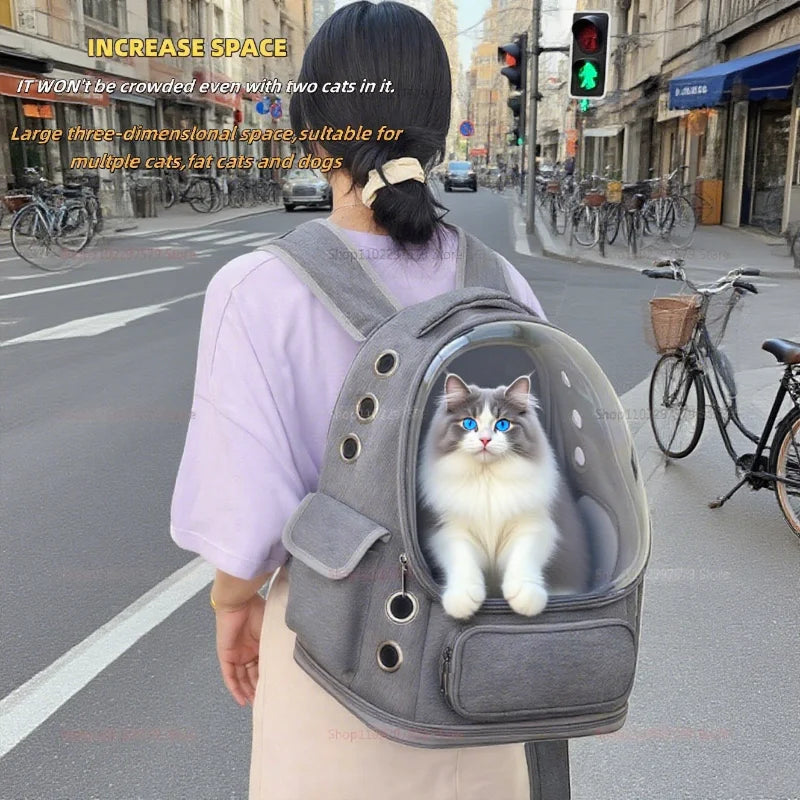 Transparent Pet Carrier.