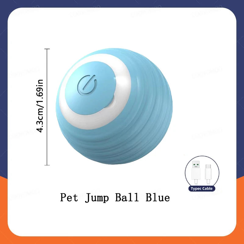 Pet Toy Ball.