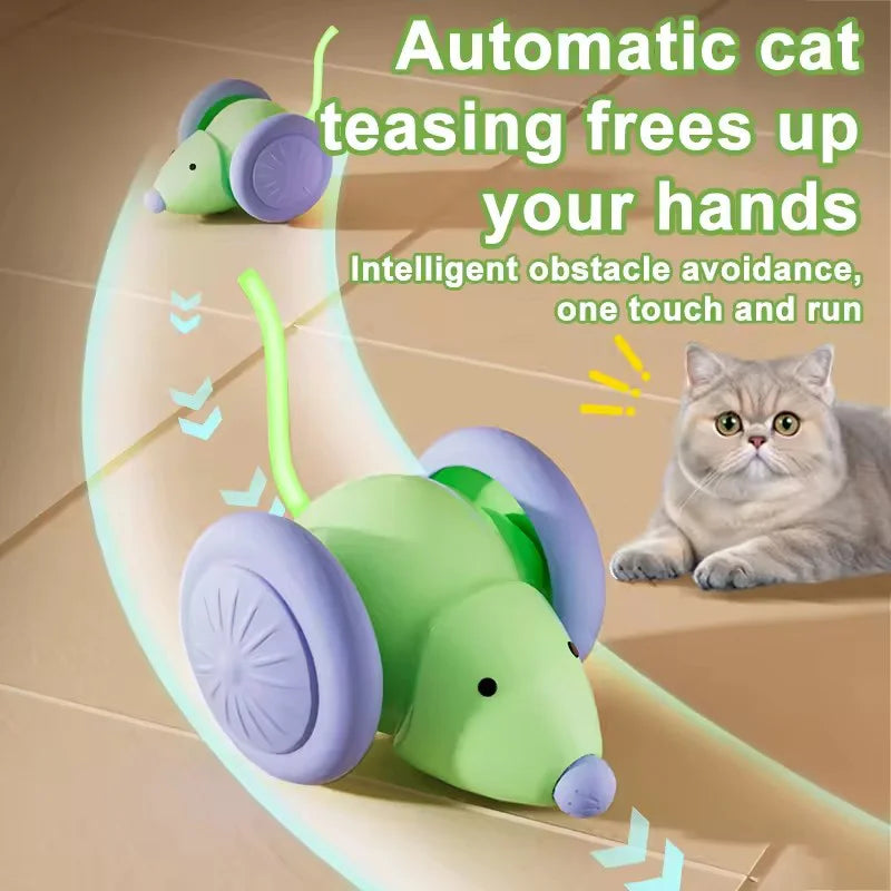 Smart Mouse Toy.