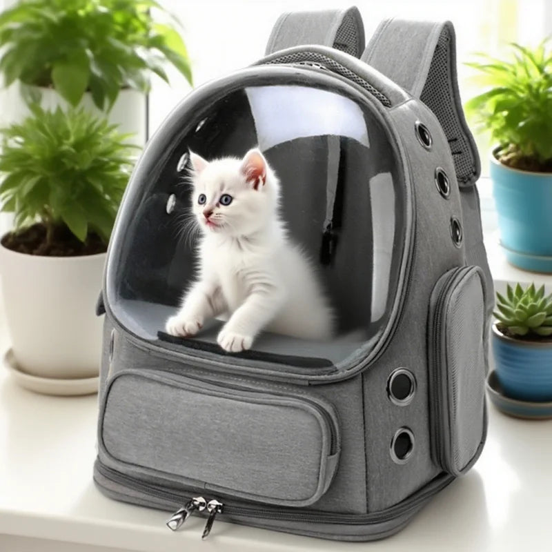 Transparent Pet Carrier.