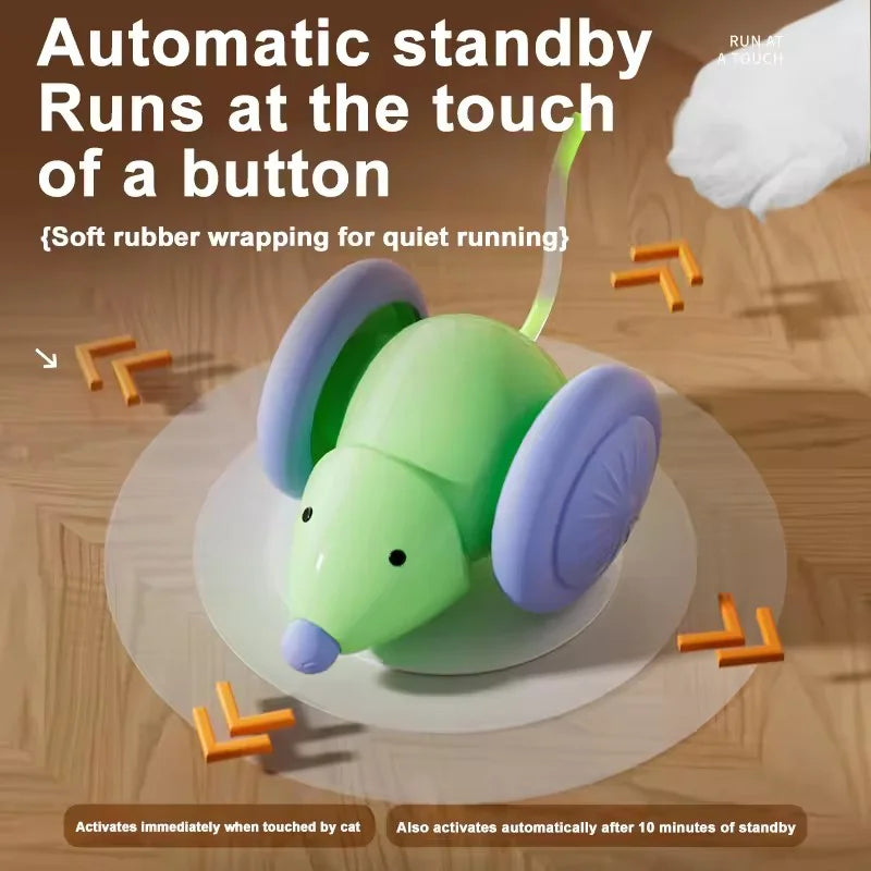 Smart Mouse Toy.