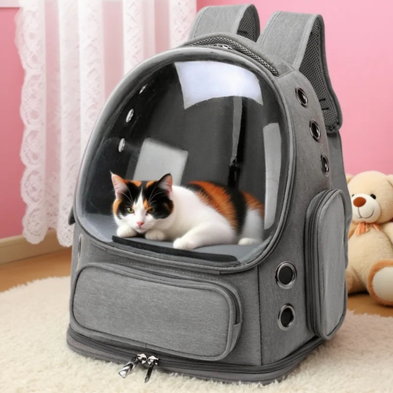 Transparent Pet Carrier.