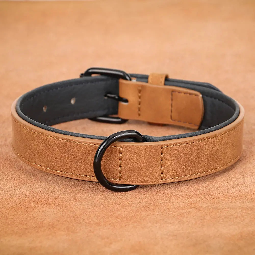 Leather Pet Collar.