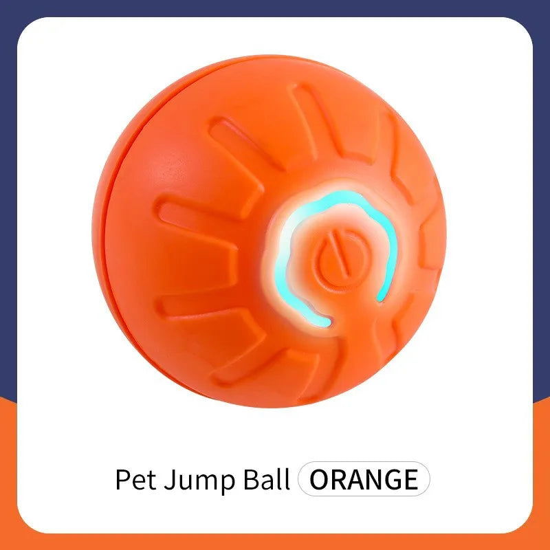 Pet Toy Ball.