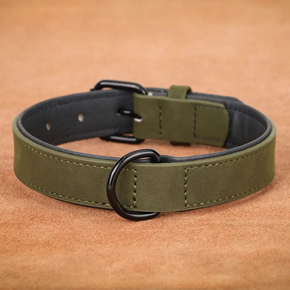 Leather Pet Collar.