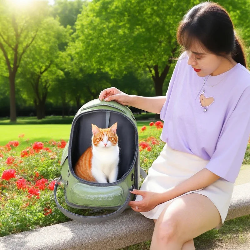 Transparent Pet Carrier.