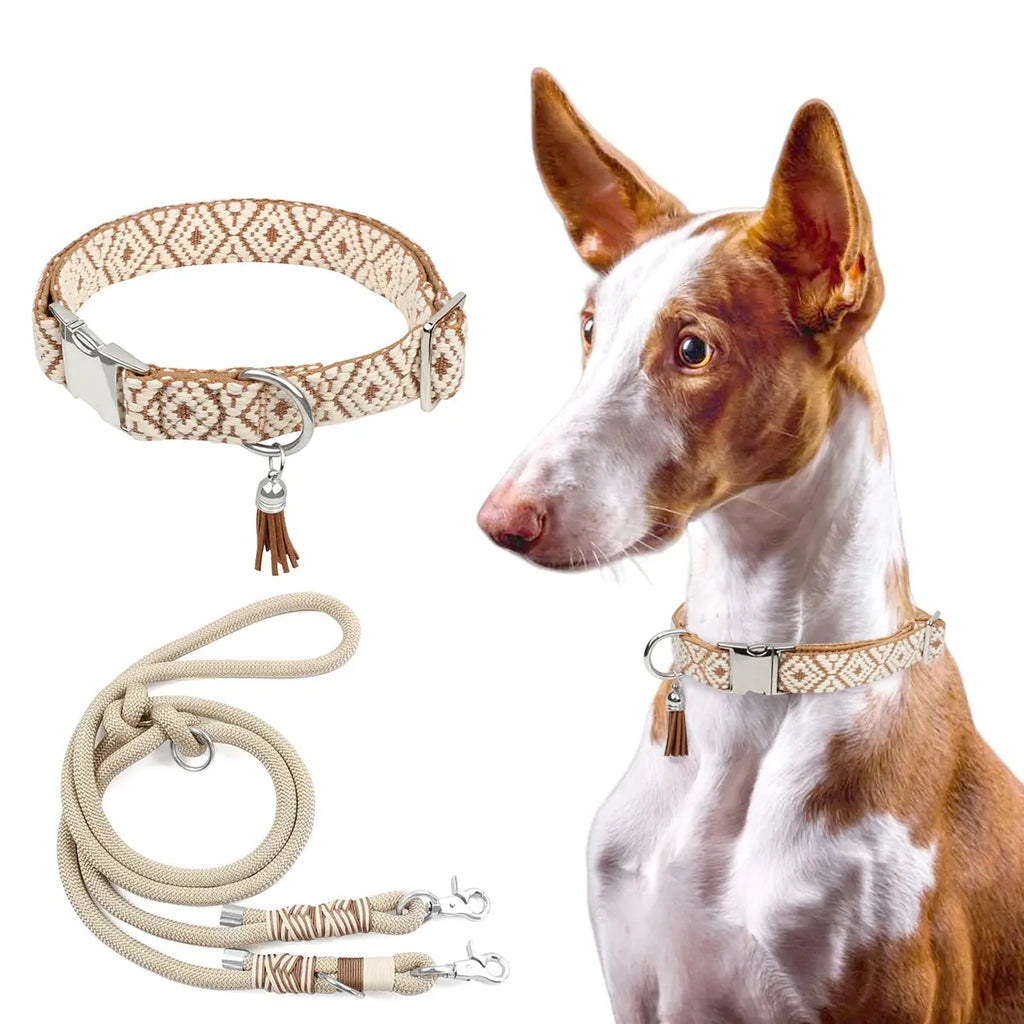 Bohemian Dog Collars.