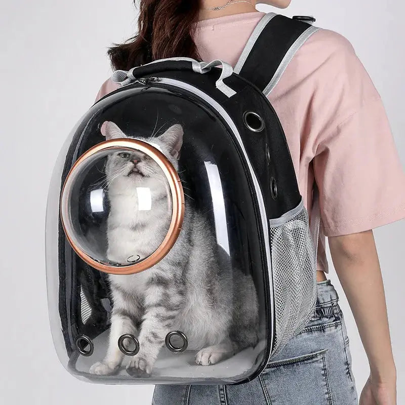Transparent Pet Travel Bag.