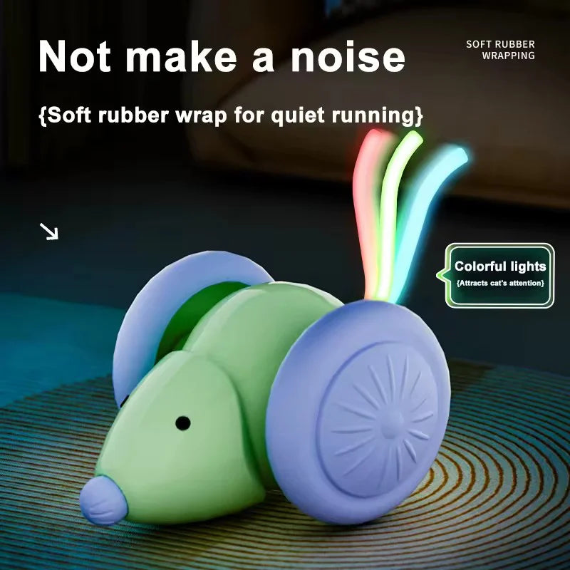 Smart Mouse Toy.