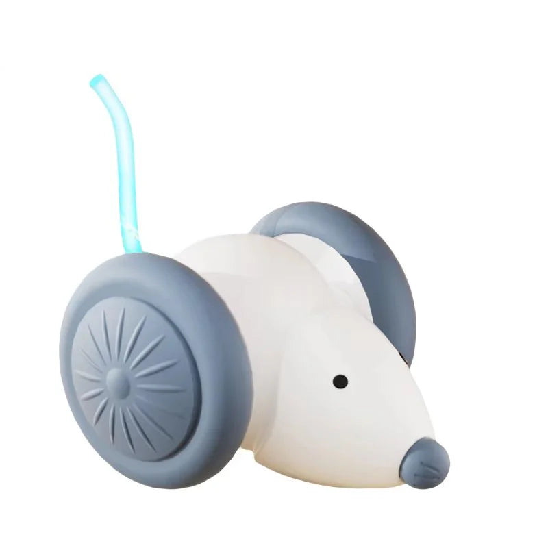 Smart Mouse Toy.