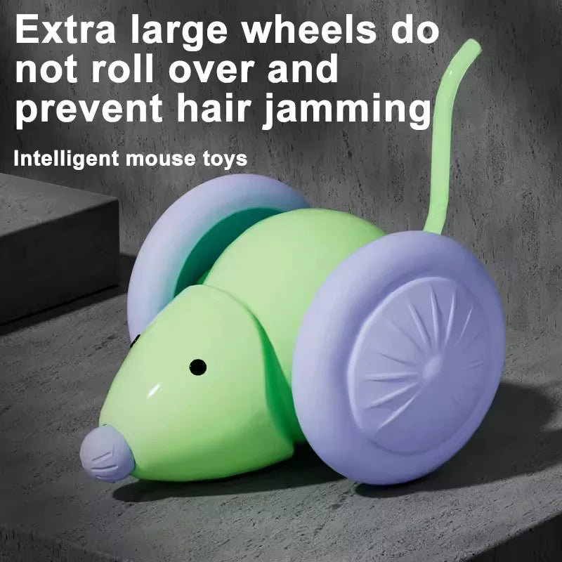Smart Mouse Toy.