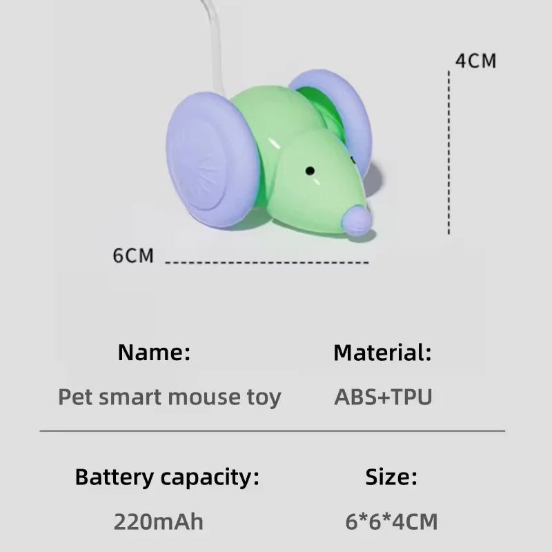 Smart Mouse Toy.