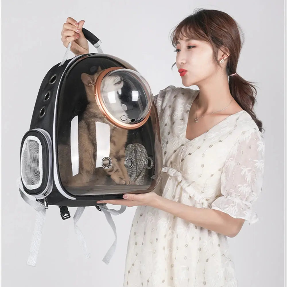 Transparent Pet Travel Bag.