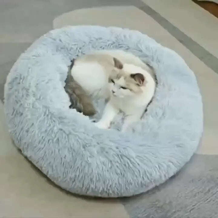 Furry plush bed.