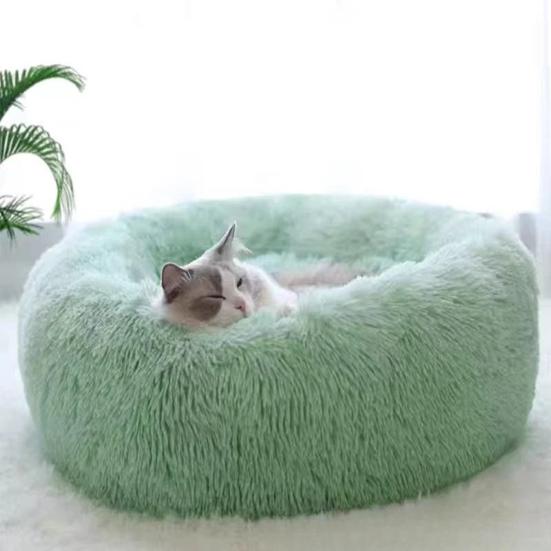 Furry plush bed.