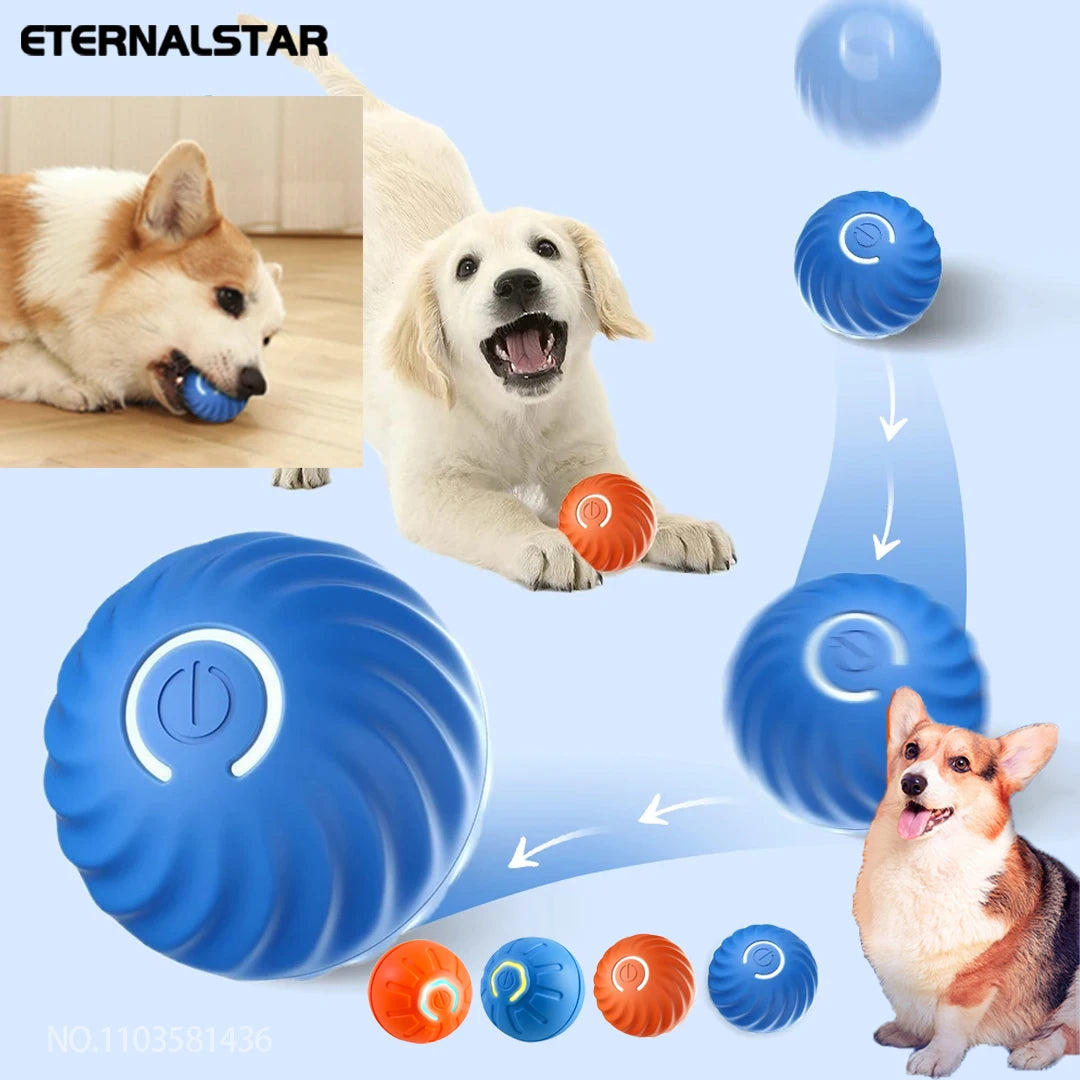Pet Toy Ball.