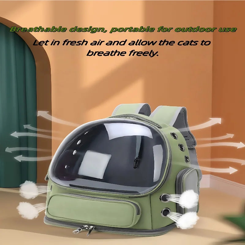 Transparent Pet Carrier.