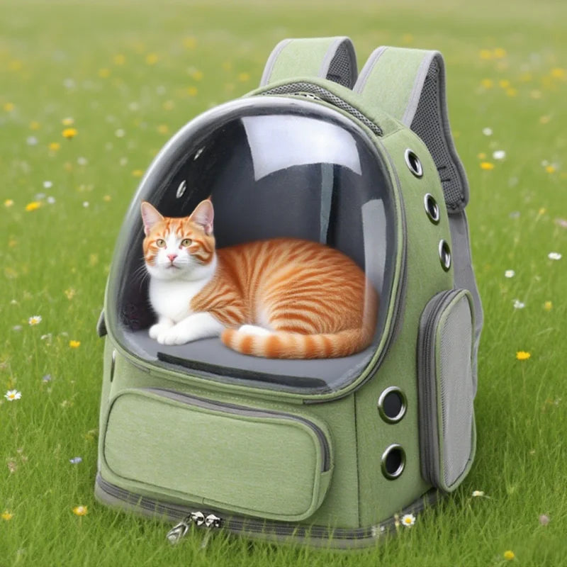 Transparent Pet Carrier.