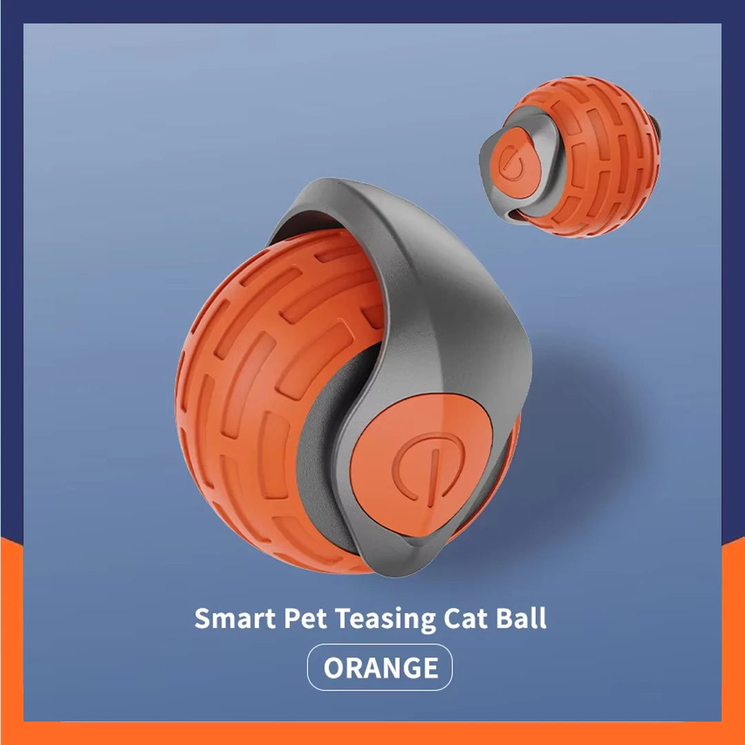 Pet Toy Ball.