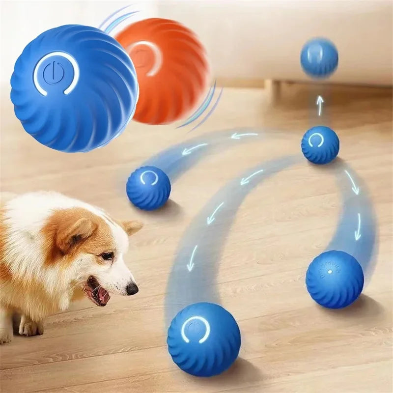 Pet Toy Ball.