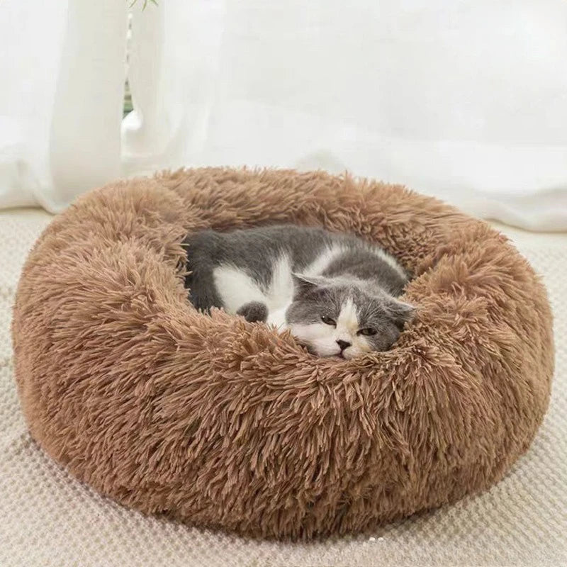 Furry plush bed.