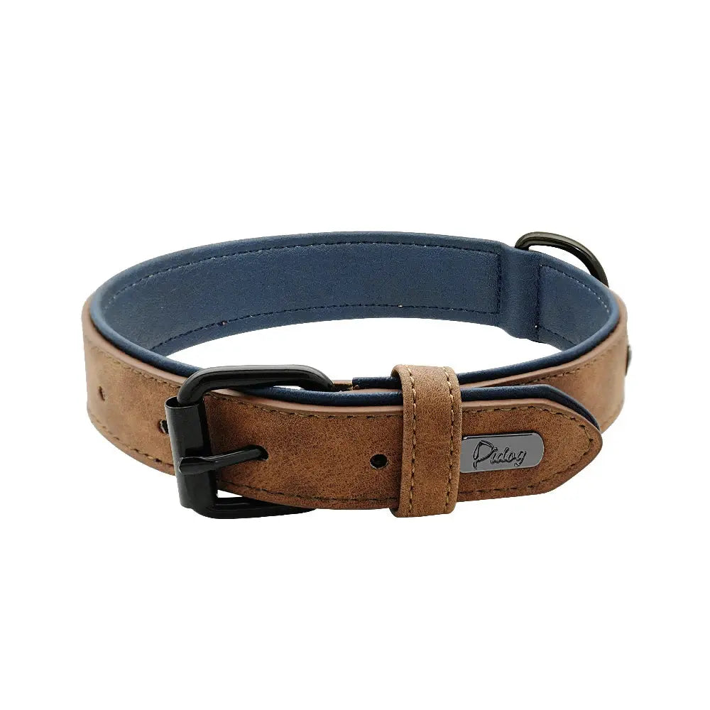 Leather Pet Collar.