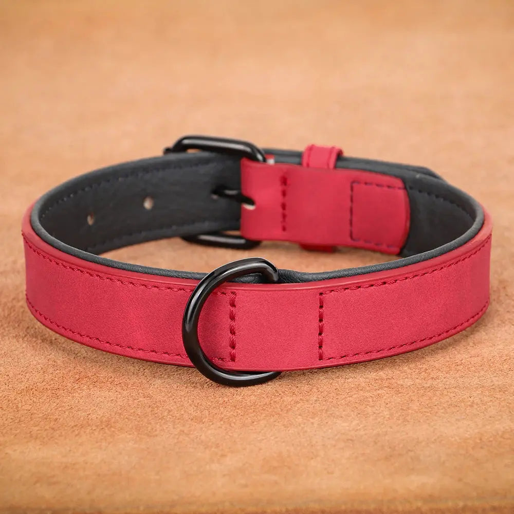 Leather Pet Collar.