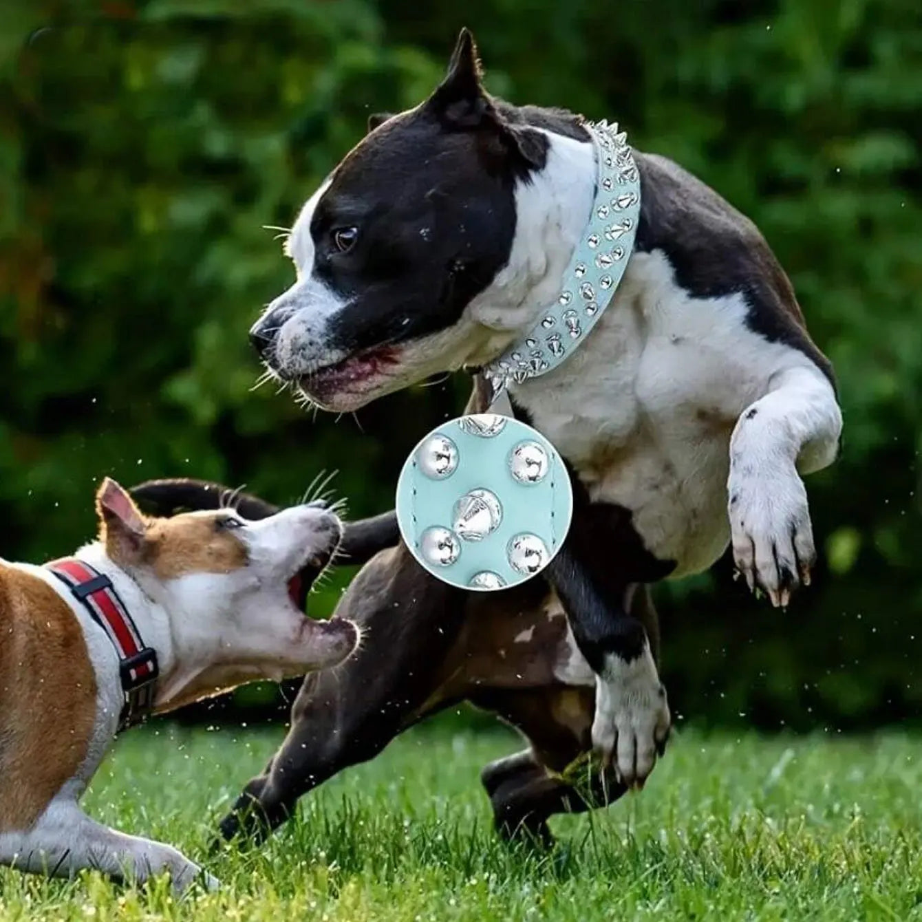 Adjustable rivet collar.