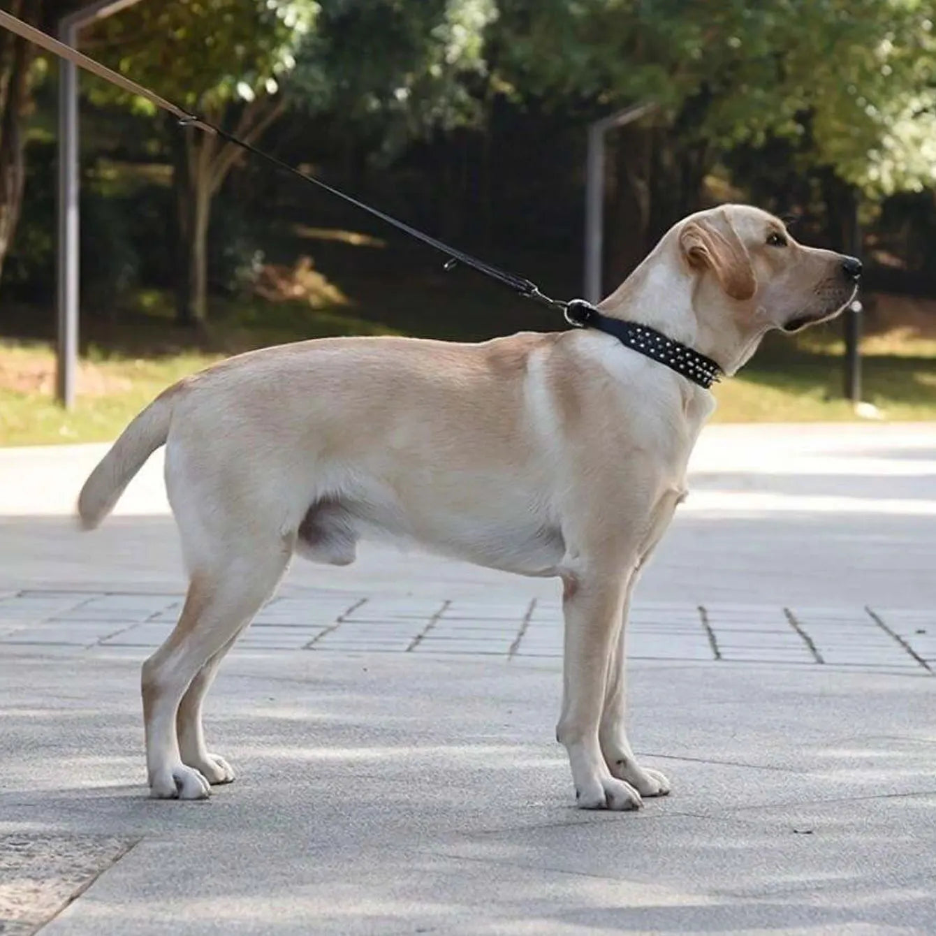 Adjustable rivet collar.