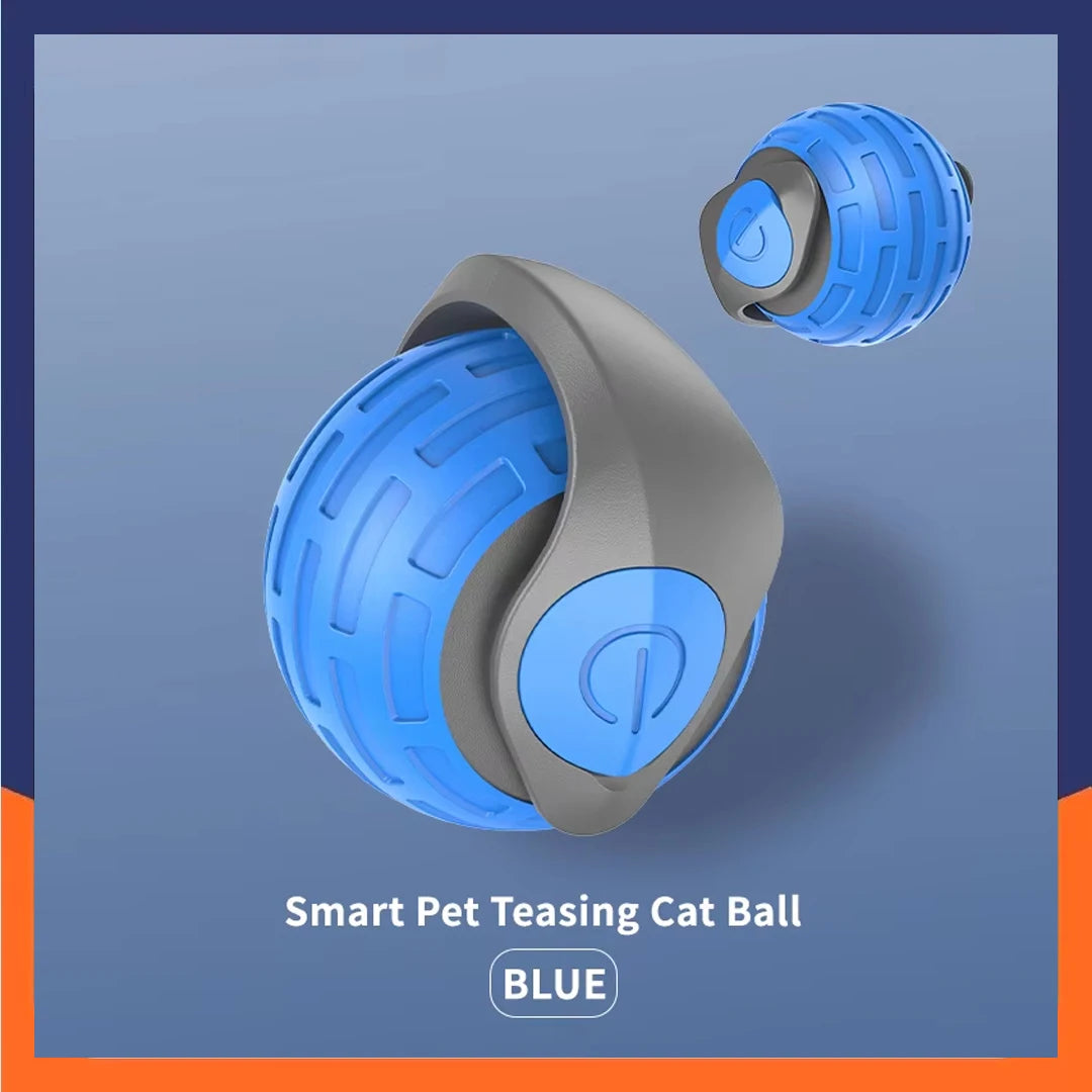 Pet Toy Ball.