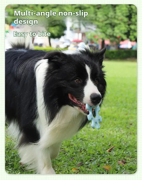 Interactive Flywheel Frisbee Mucy Stores